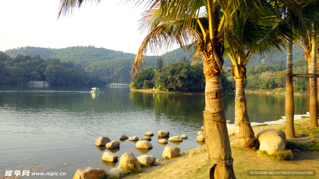 深圳仙湖植物园