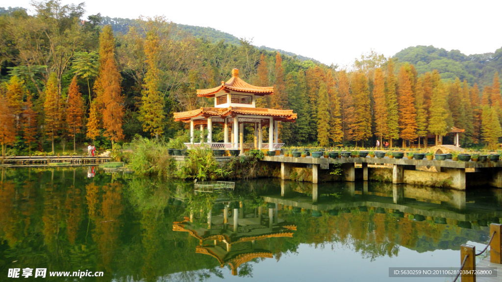 深圳仙湖植物园