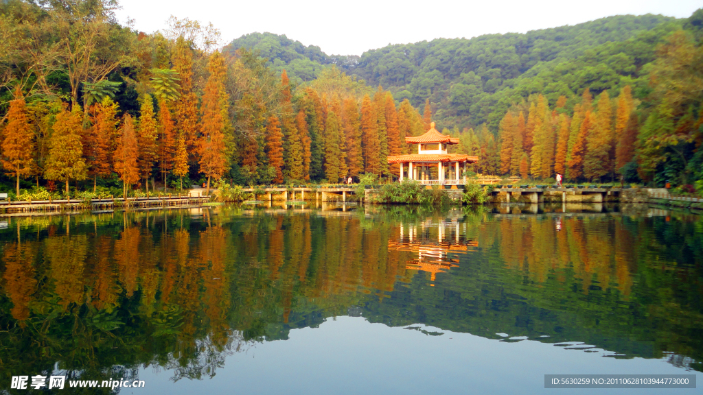 深圳仙湖植物园