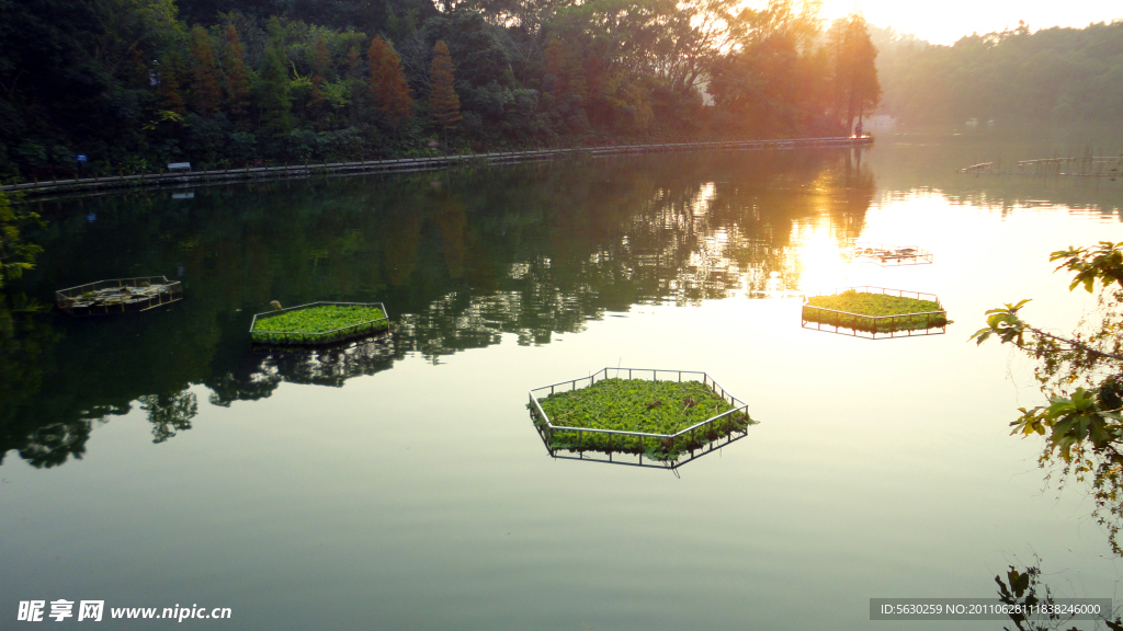 深圳仙湖植物园