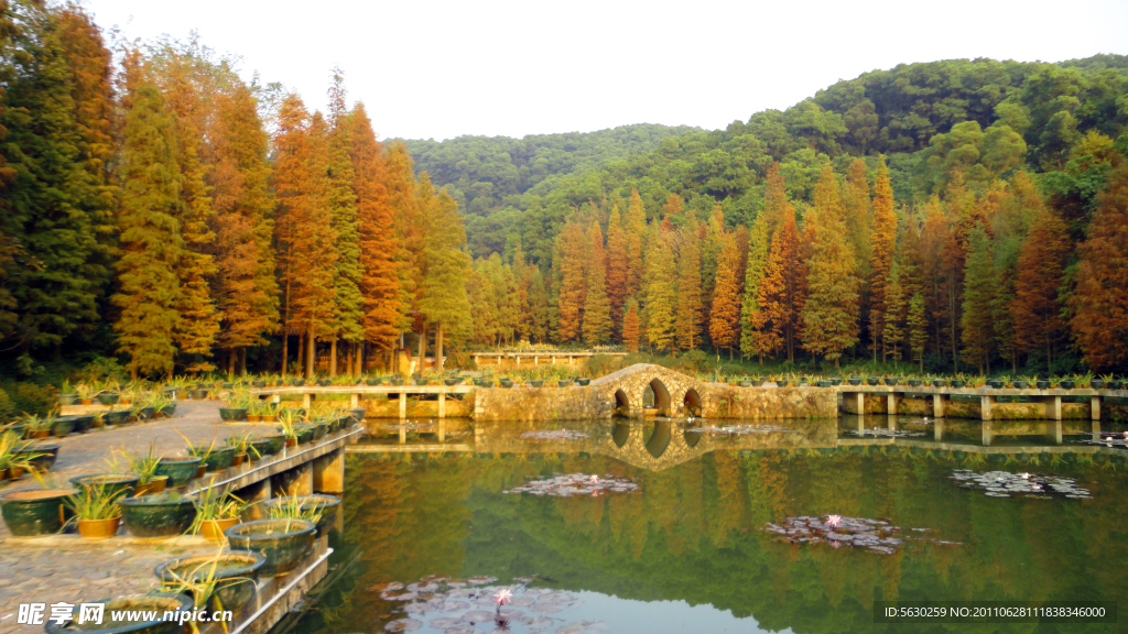 深圳仙湖植物园