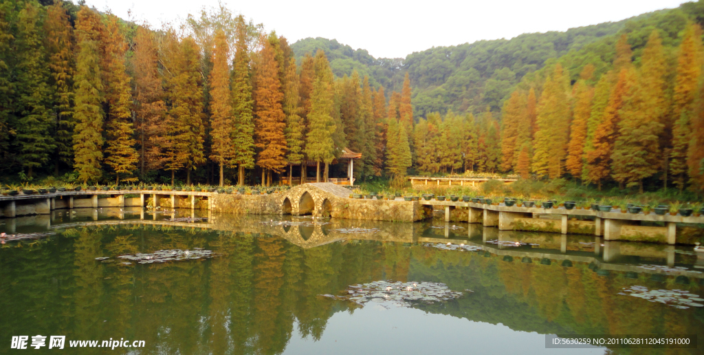 深圳仙湖植物园