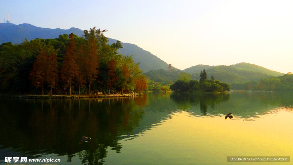 深圳仙湖植物园