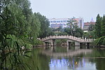 大明湖风光