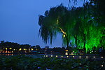 大明湖夜景