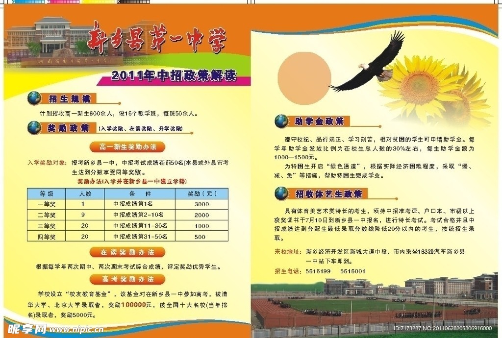 中招政策解读