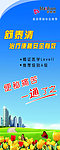 舒泰清便秘治疗易拉宝