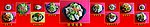 砂锅菜素材