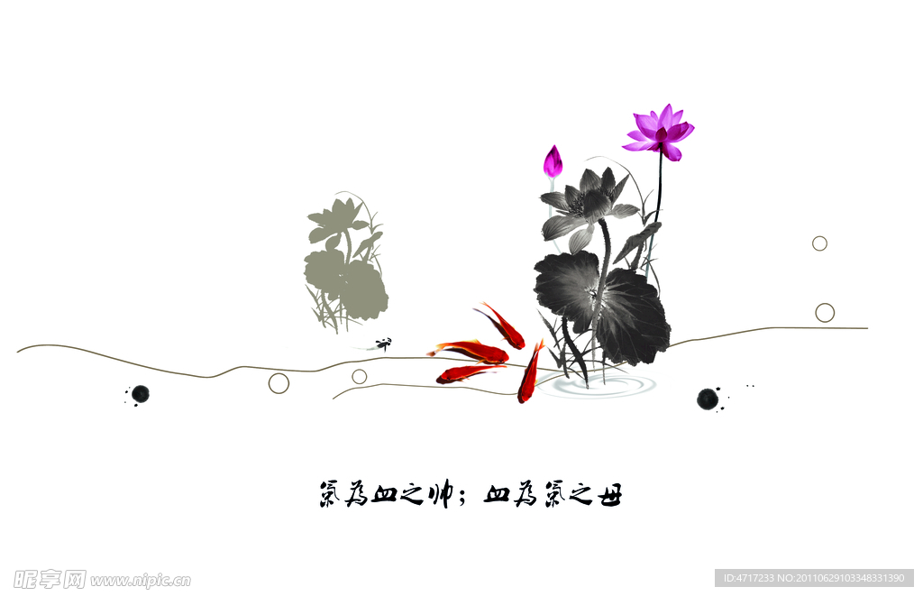 荷花