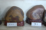 黄河石头
