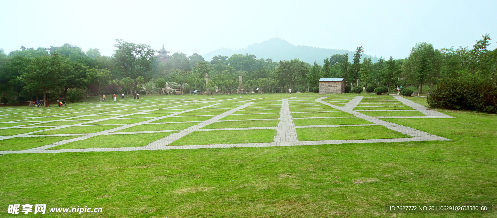 公园草坪