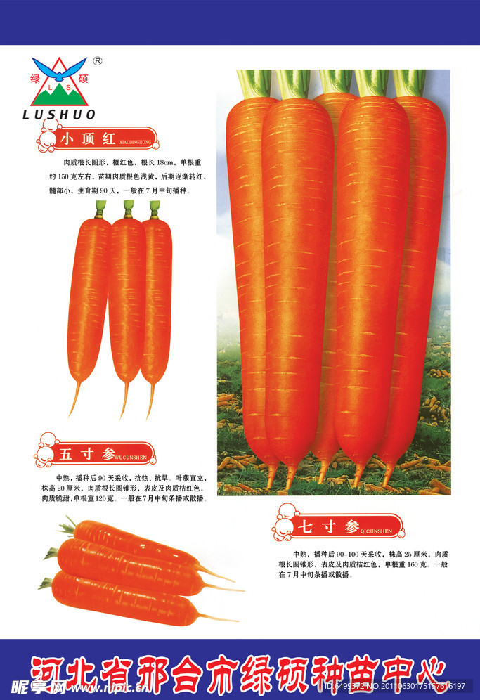 萝卜种子包装袋