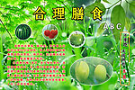 膳食