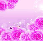 蝶恋花香