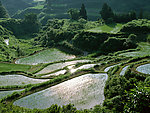梯田