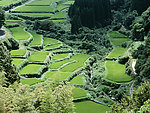 梯田