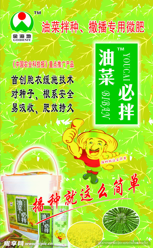 油菜 油菜必拌 金海地