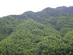 山景