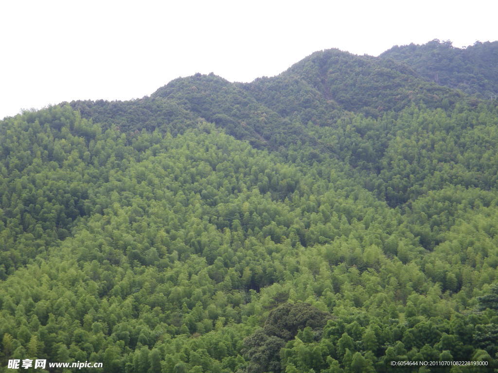 山景
