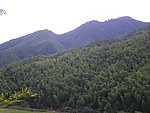 山景