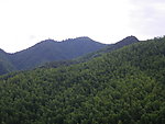 山景