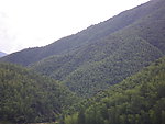 山景