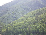 山景