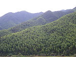 山景