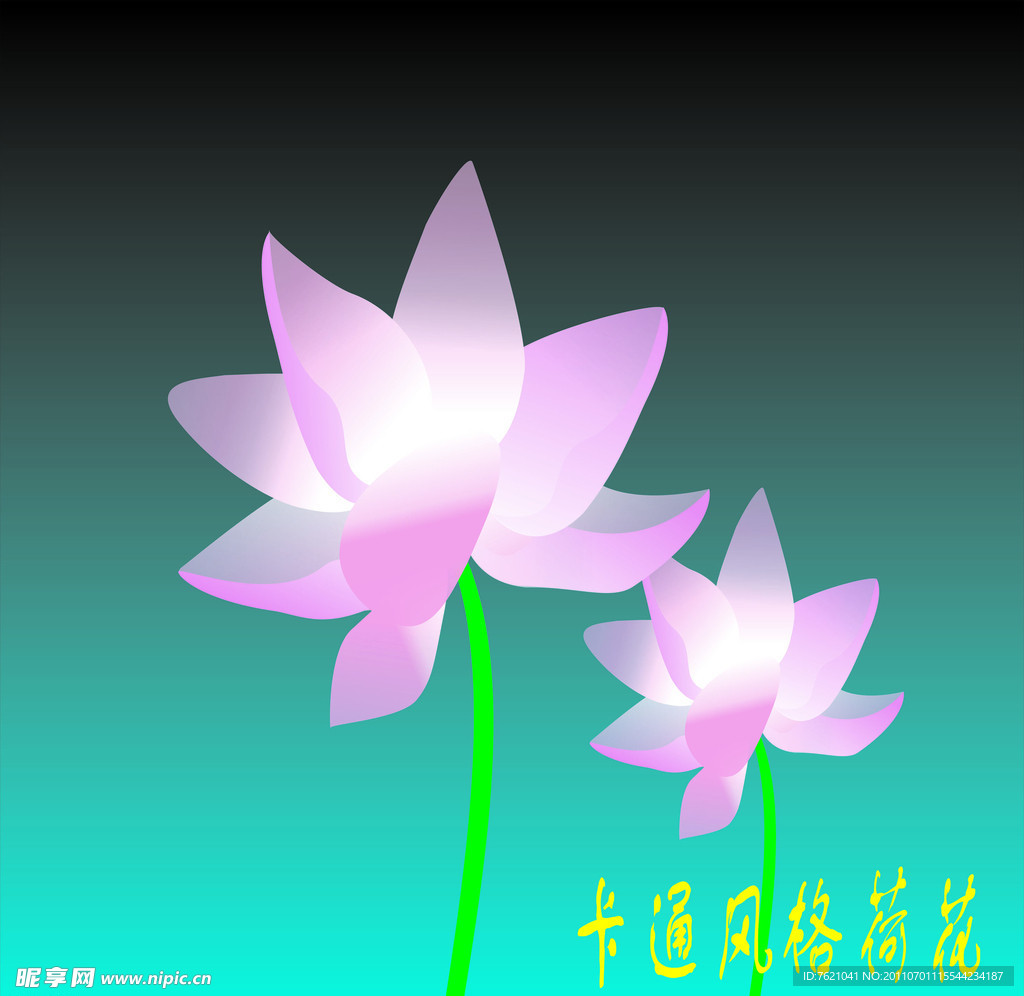 荷花