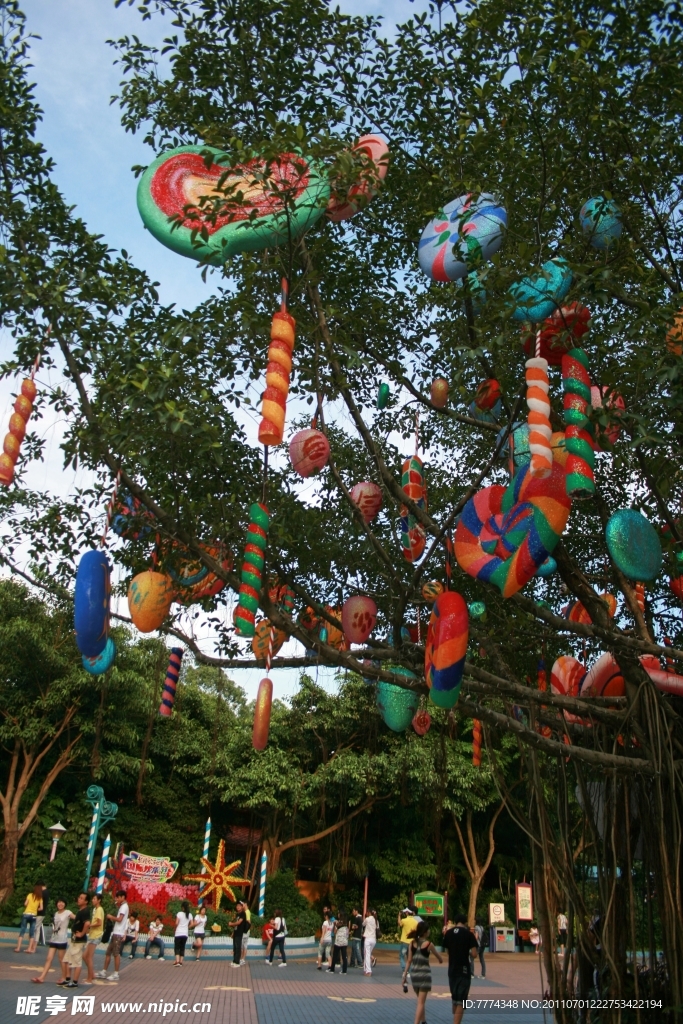糖果树