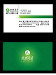 绿色名片