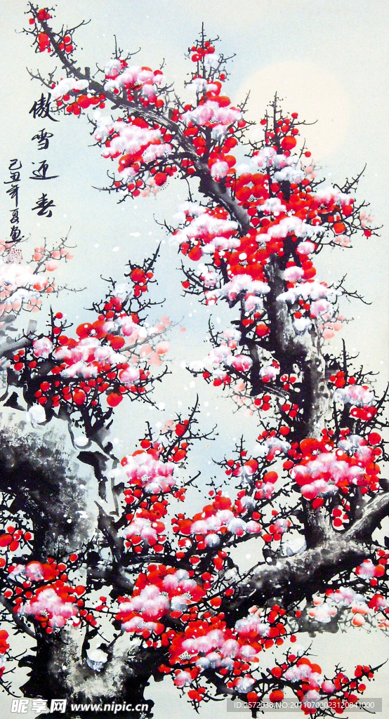 傲雪迎春