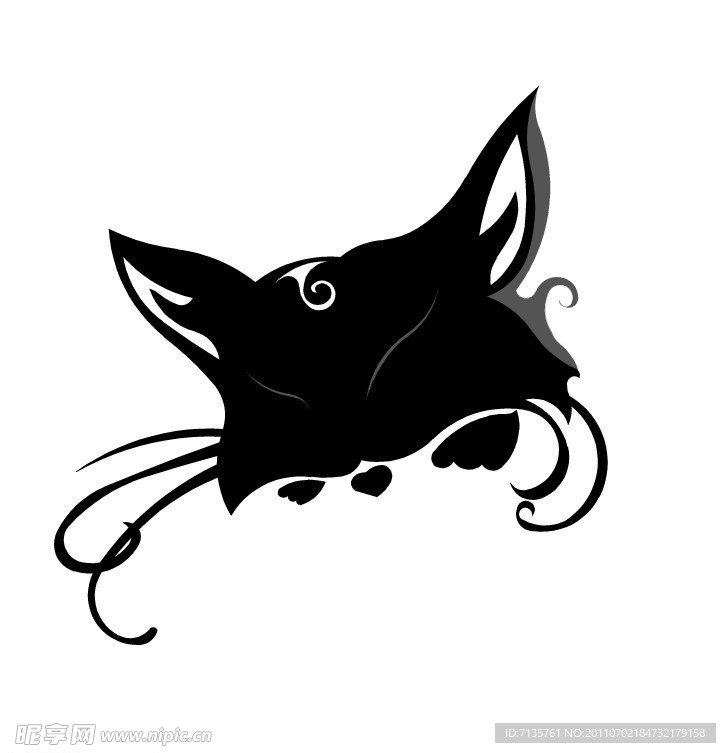 猫咪