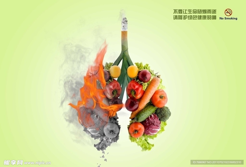 戒烟 燃烧的肺