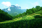 小秦寨