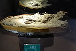 化石