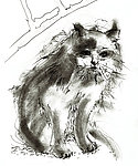 手绘线条小猫