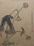 荷花