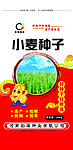 小麦种子