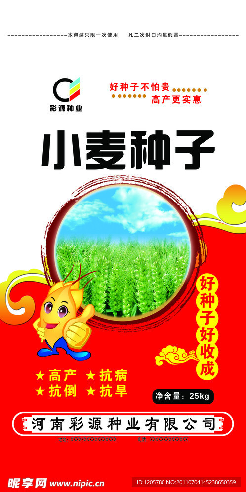 小麦种子