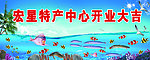宏星特产中心开业大吉