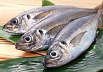海鲜食材