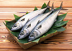 海鲜食材