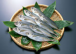 海鲜食材