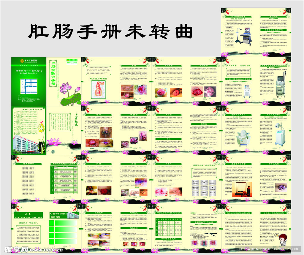 肛肠手册