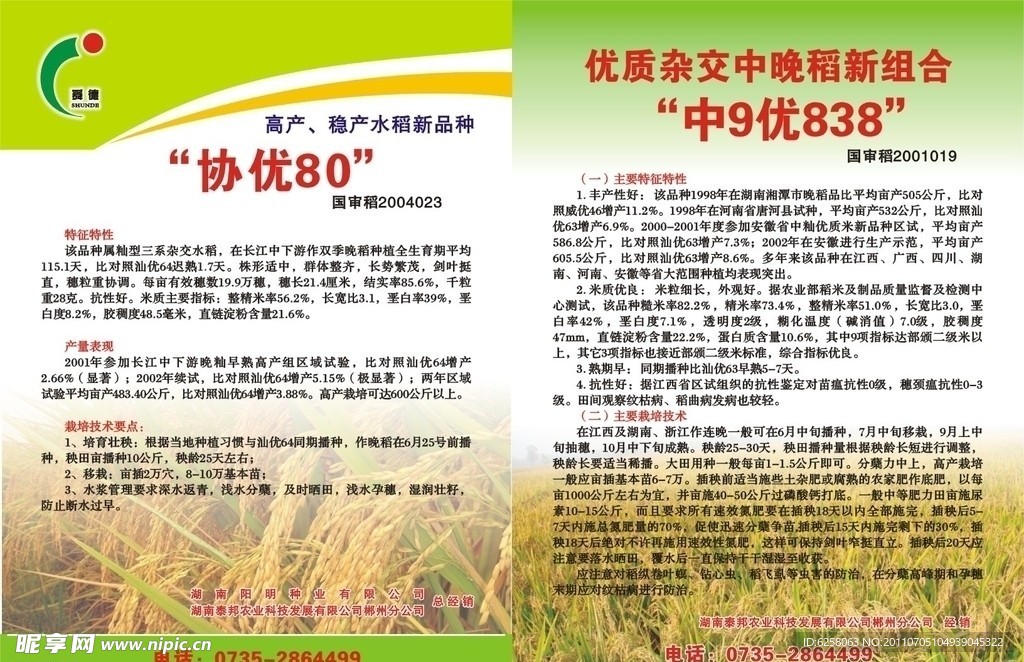 稻谷宣传