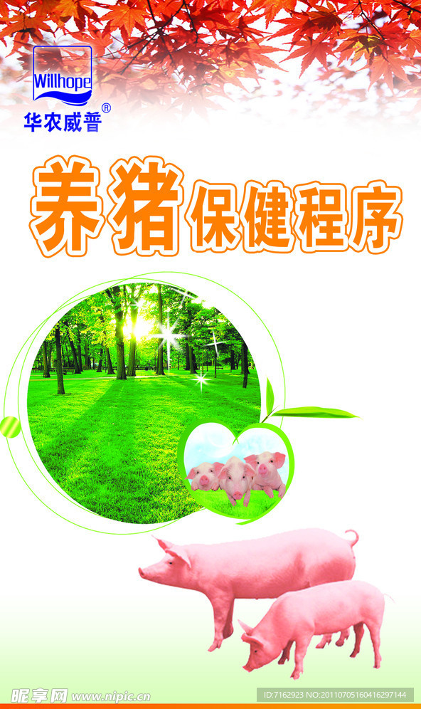养猪保健
