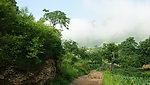 野三坡云雾树林风景