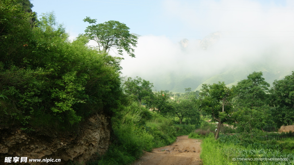 野三坡云雾树林风景