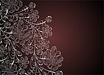 古典手绘花纹